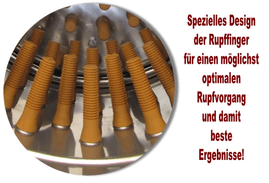 Beeketal Geflügelrupfmaschine Rupfmaschine Nassrupfmaschine Für Gänse U. Puten- BRM2250 – Bild 6